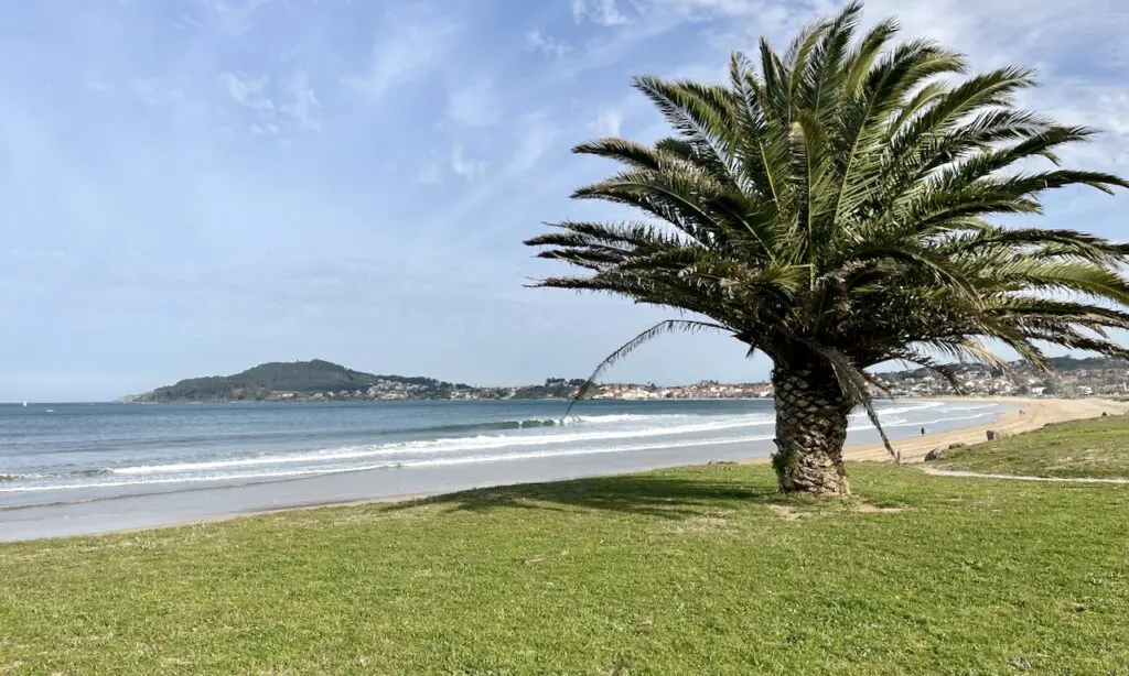 ⁨Nigrán⁩, ⁨Rías Baixas⁩, ⁨Spanje⁩