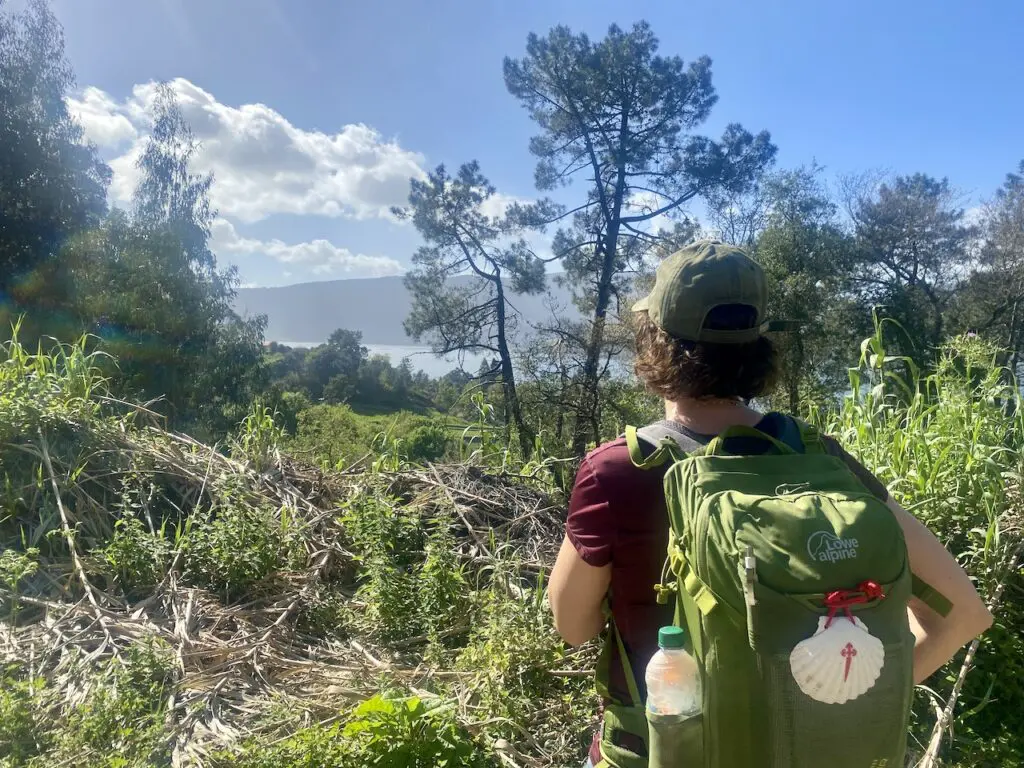 Camino Portugués central