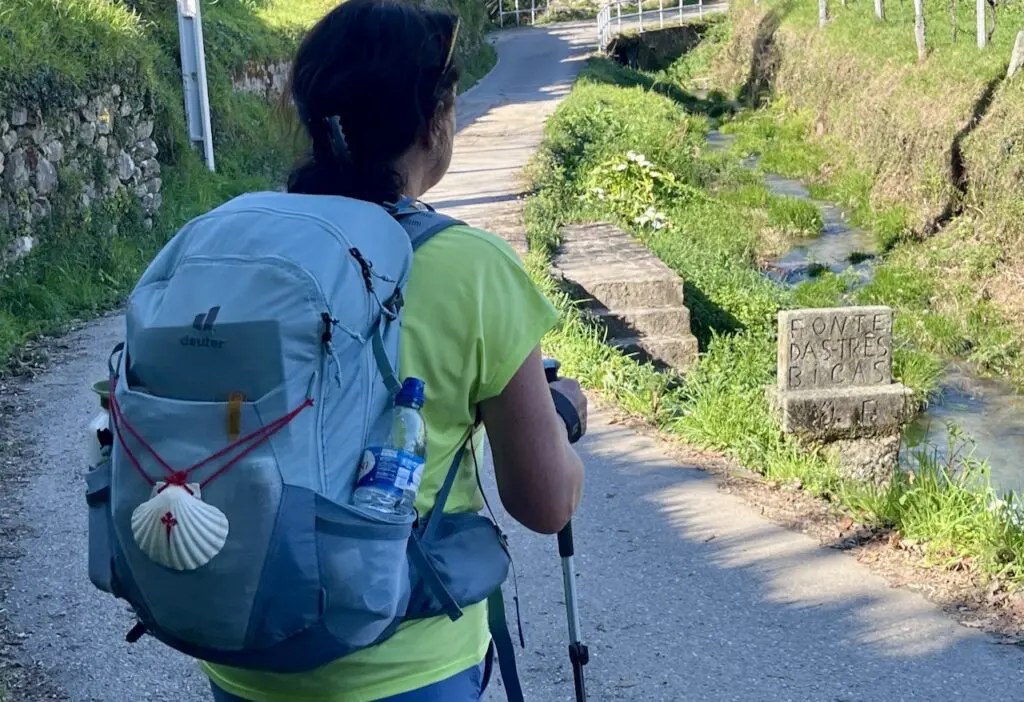 Camino Jacobsschelp