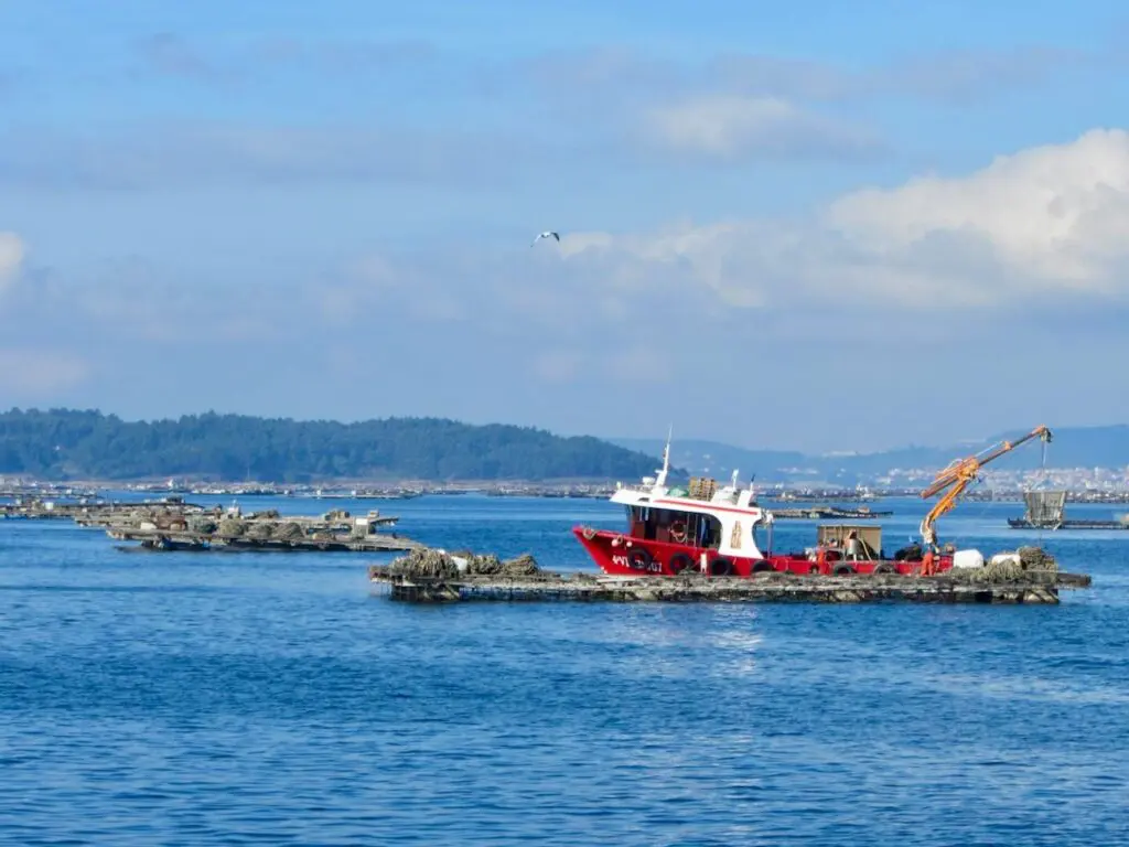 Drijvende oester- en mossel kwekerijen in de Ría de Arousa