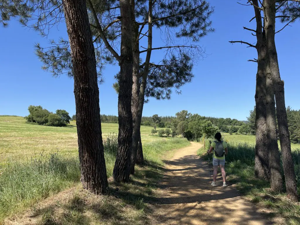 Camino Francés Portomarín