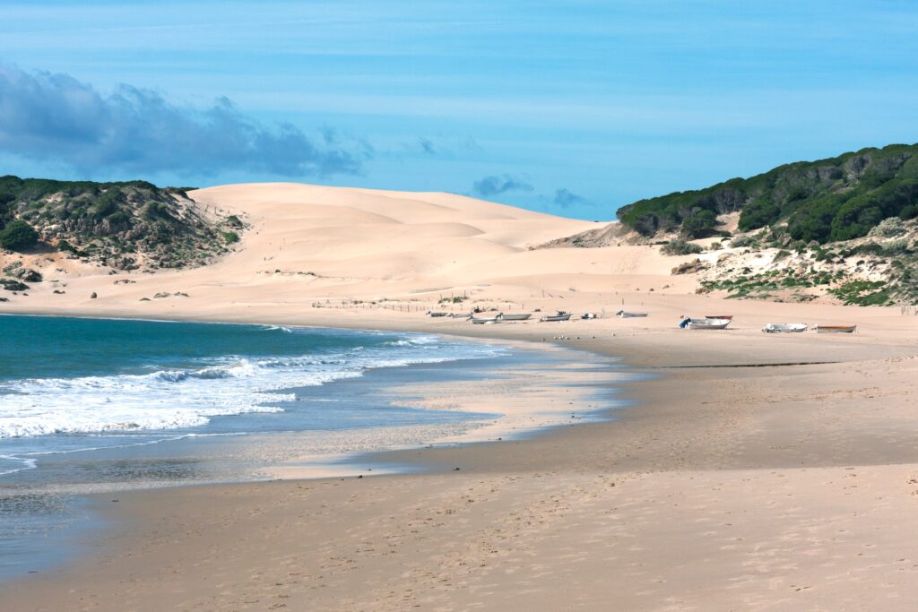 Duinen bij Bolonia
