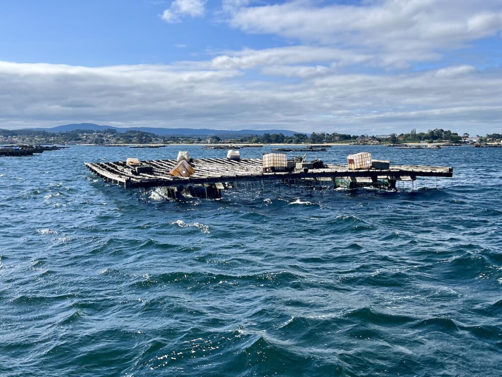 Drijvende oester- en mossel kwekerijen in de Ría de Arousa